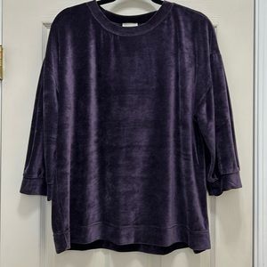 Garnet Hill Purple Velvet Top L NWOT